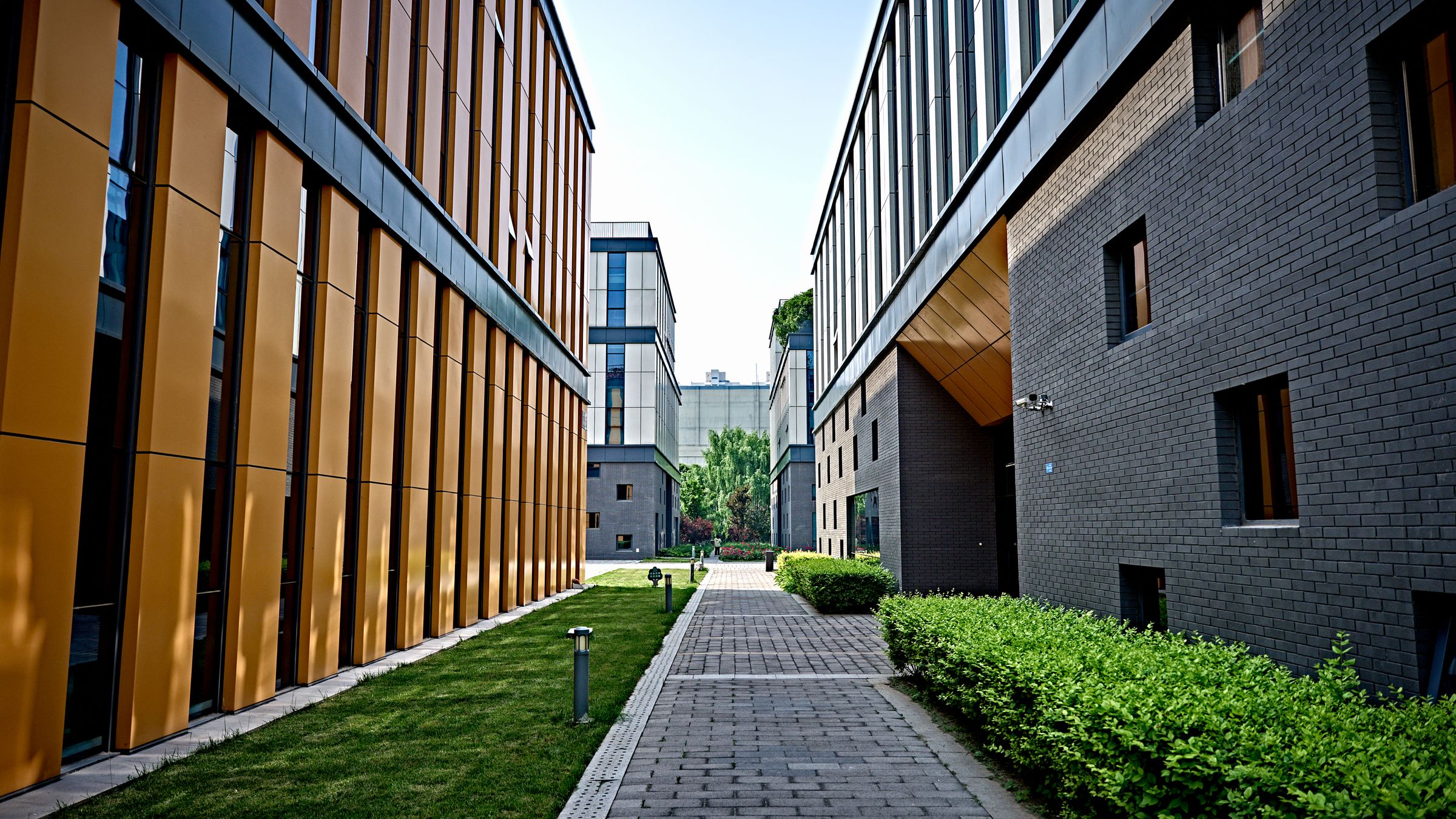 A paved route between two office buildings with clipped planting on both sides.